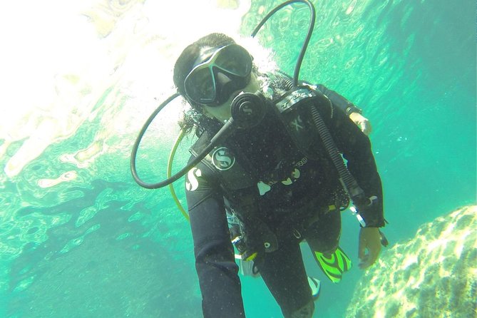 Introdive - The briefing makes the difference for beginners