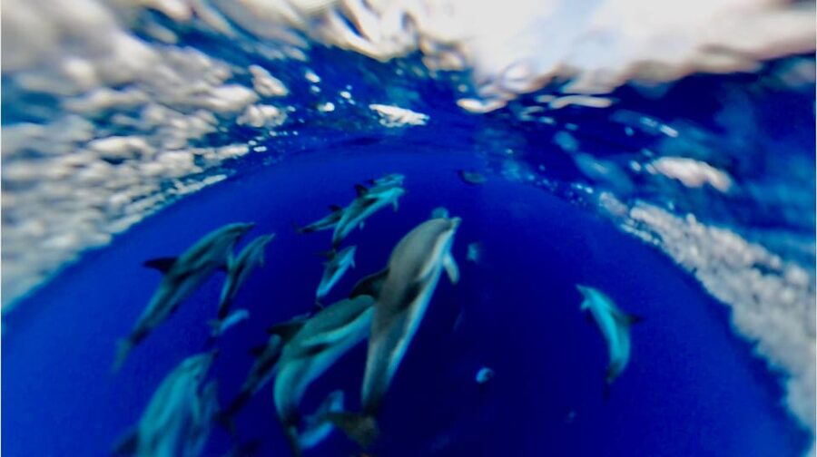 Isola Bella-Blue Grotto: Boat Tour, Snorkeling & Aperitif - What the $53 price includes