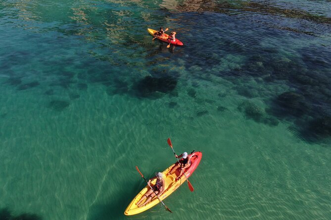Kayak Tour: From Cala Manbrù to Torre Salsa Reserve - Timing, weather, and cancellation details