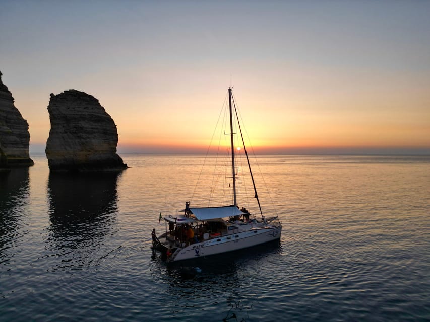 Lampedusa: Dolphin watching with aperitif at sunset - The good and the less certain parts