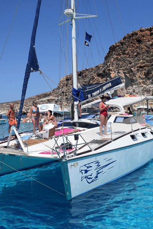 Lampedusa: Dolphin watching with aperitif at sunset - Looking for dolphins beyond the harbor