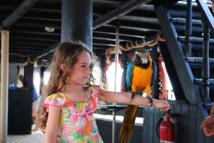 Lampedusa: Pirate Ship Boat Tour with Lunch and Music - Scoglio del Sacramento, caves, and the rocky coast