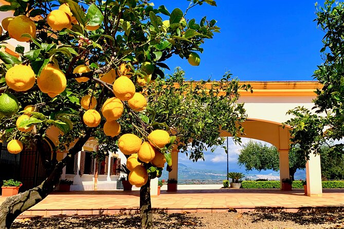 Leave the City Behind Tour with Guide Driver starts from Palermo - Why this day trip earns a place on your Sicily plan
