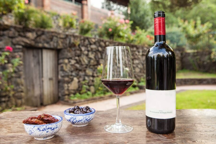 Linguaglossa: Wine Tasting Experience at Etna Nord - The white wine welcome begins the visit