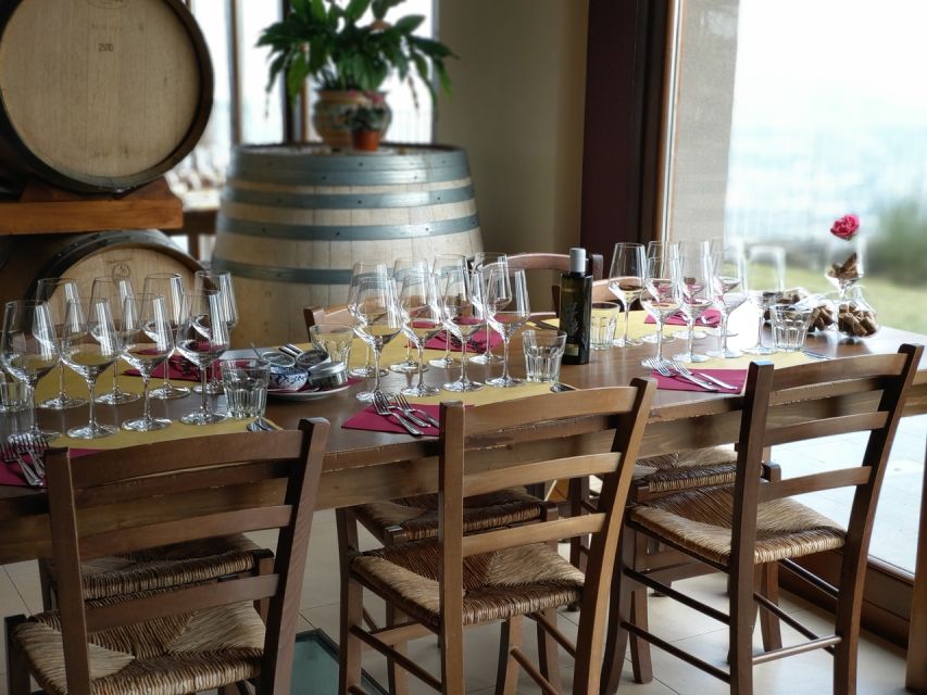 Linguaglossa: Wine Tasting Experience at Etna Nord - Is $45 good value for 1.5 hours?