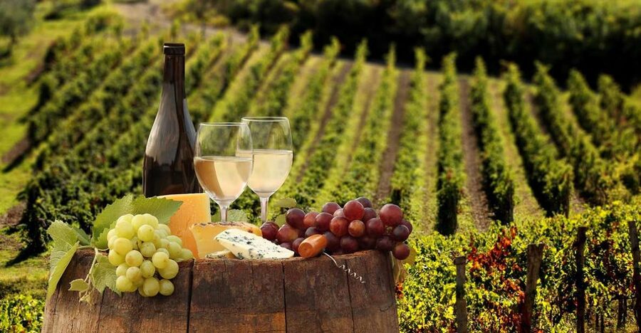 Linguaglossa: Wine Tasting Experience at Etna Nord - Touring a 25-hectare Etna winery