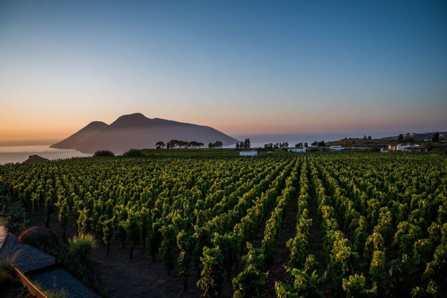 LIPARI WINERY - SUNSET WINE TASTING - The sunset terrace is the main event