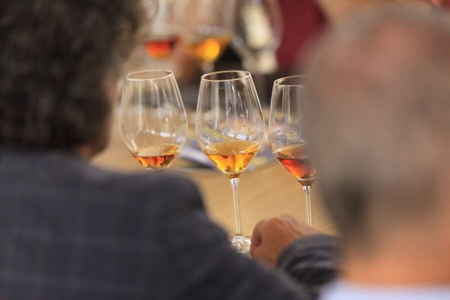Marsala: Florio Winery Tour with Food-Paired Wine Tastings - How to make the most of the tasting
