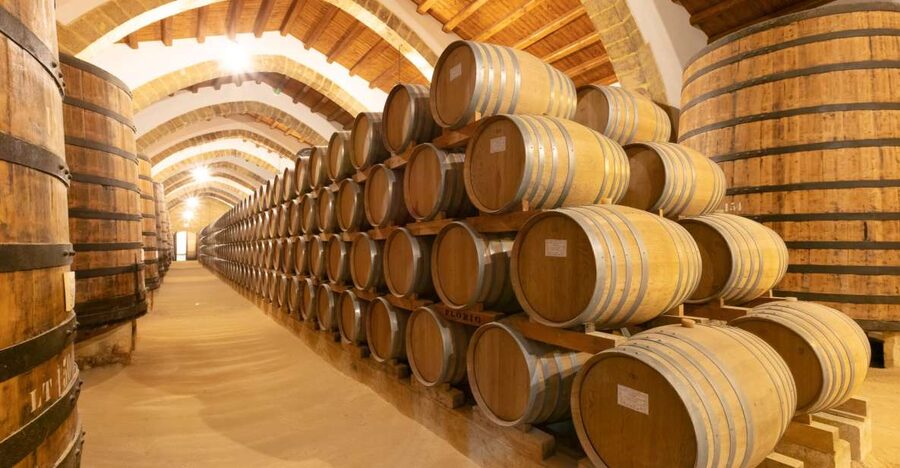 Marsala: Florio Winery Tour with Food-Paired Wine Tastings - Walking through the historic Florio cellars