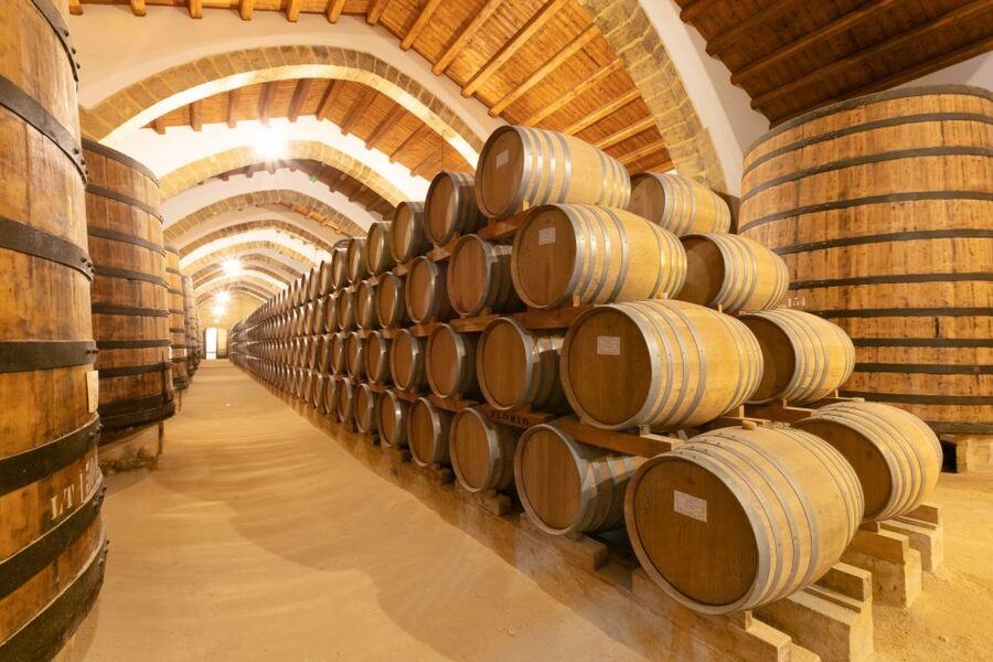 Marsala: Florio Winery Tour with Local Wine Tasting - Entering the old cellars and the tufa floor