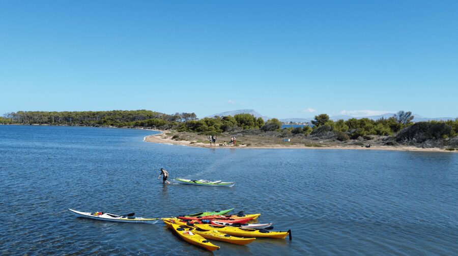 Marsala: Kayak Tour in Stagnone di Marsala Nature Reserve - Isola Schola, the Smallest Island