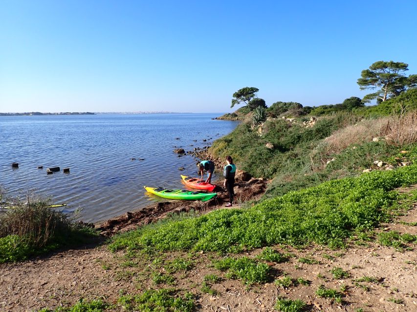 Marsala: Kayak Tour in Stagnone di Marsala Nature Reserve - San Pantaleo and the Phoenician Site of Mozia
