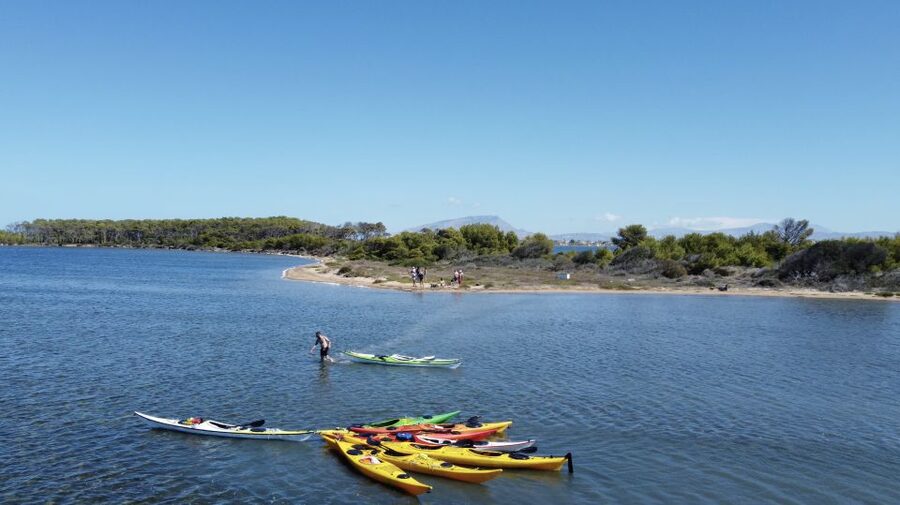 Marsala: Kayak Tour in Stagnone di Marsala Nature Reserve - Equipment and Safety for First-Time Paddlers