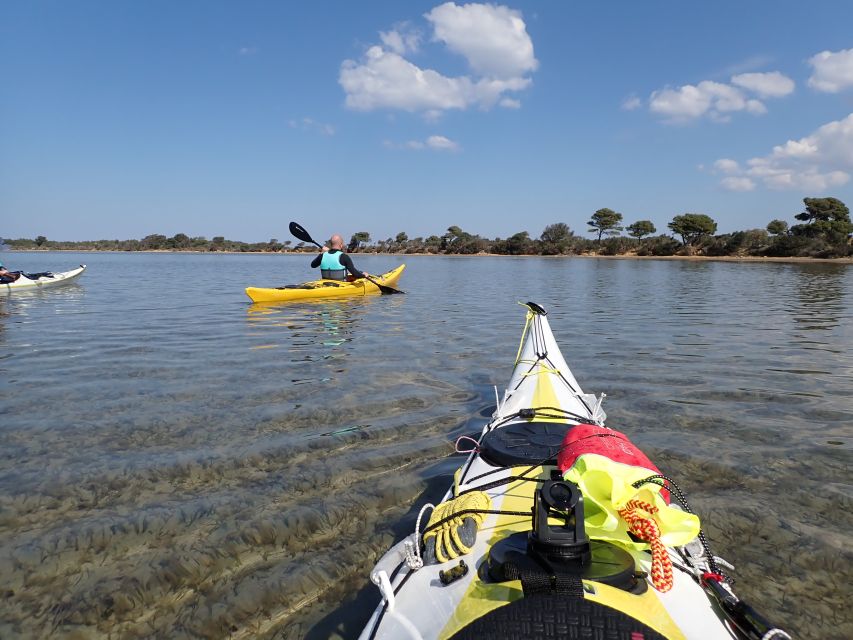 Marsala: Kayak Tour in Stagnone di Marsala Nature Reserve - What $82 Buys You in Marsala