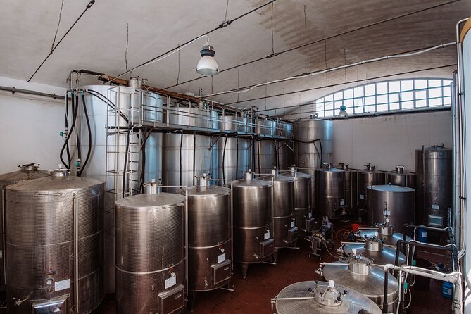 Marsala Tasting of 5 Sicilian organic wines - The Baglio DiAr cellar visit