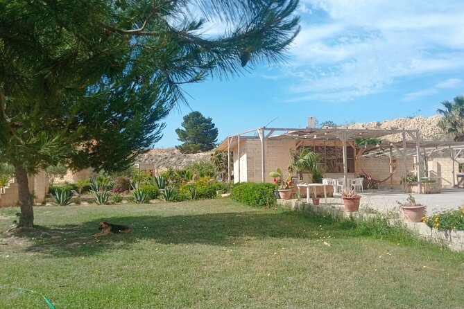 MARSALA UNDERGROUND let's discover the hidden part of the city - Why Marsala’s quarry park is worth your time