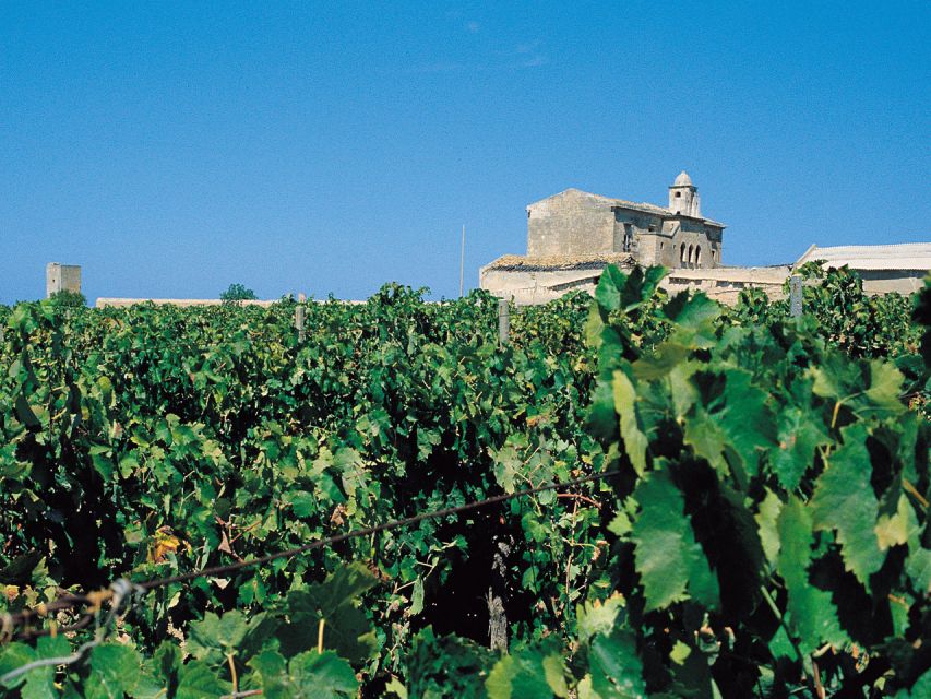 Marsala: Winery Tour with Wine Tasting and Local Products - Key points at a glance