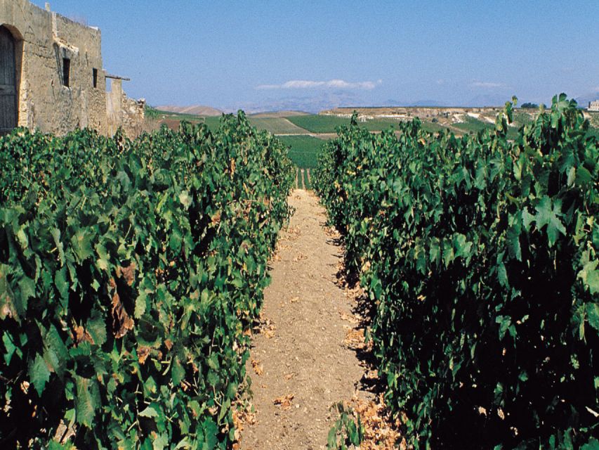 Marsala: Winery Tour with Wine Tasting and Local Products - Cheese, bread, almond cakes, and the Sicilian table