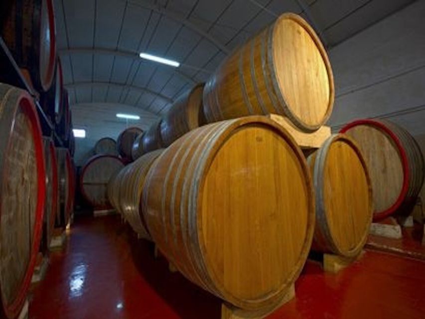 Marsala: Winery Tour with Wine Tasting and Local Products - What the 45-minute schedule means for your day