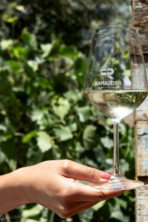 Marzamemi: Val di Noto Wine Tour, Wine Tasting & Aperitif - Why this one-hour tasting works in Marzamemi