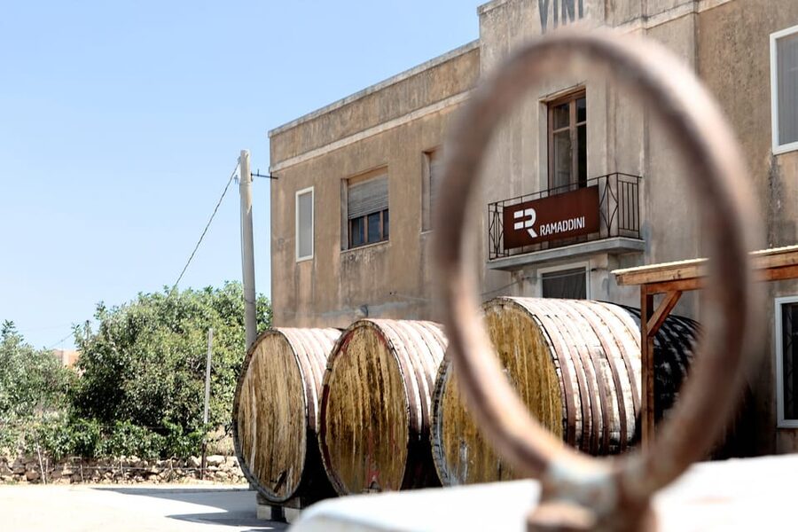 Marzamemi: Val di Noto Wine Tour, Wine Tasting & Aperitif - The winery tour: from grape to bottle