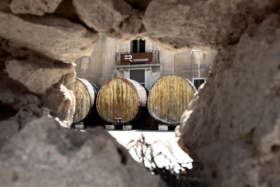 Marzamemi: Val di Noto Wine Tour, Wine Tasting & Aperitif - Four wines from the Val di Noto table