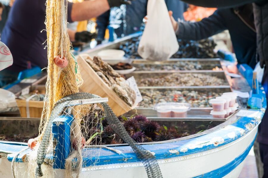 Messina: Share Your Pasta Love in Local's Home - Who Will Enjoy This Messina Cooking Class