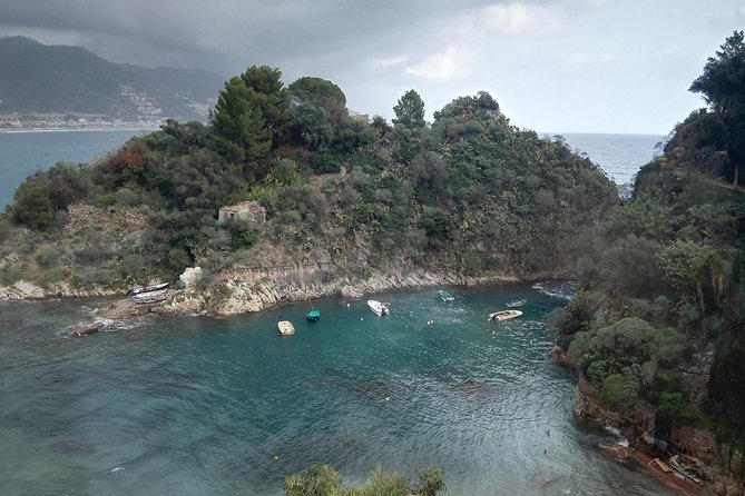 Messina Shore Special Tour of Taormina and Castelmola plus Panoramic Lunch - Who should book this day out
