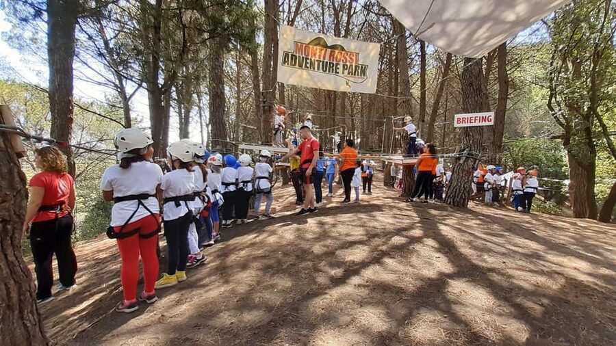 Monti Rossi Adventure Park Entry Ticket - Climbing, bridges, and balance in the forest