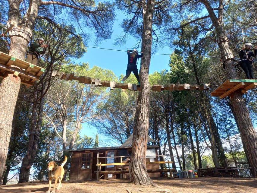 Monti Rossi Adventure Park Entry Ticket - The zip line through the trees