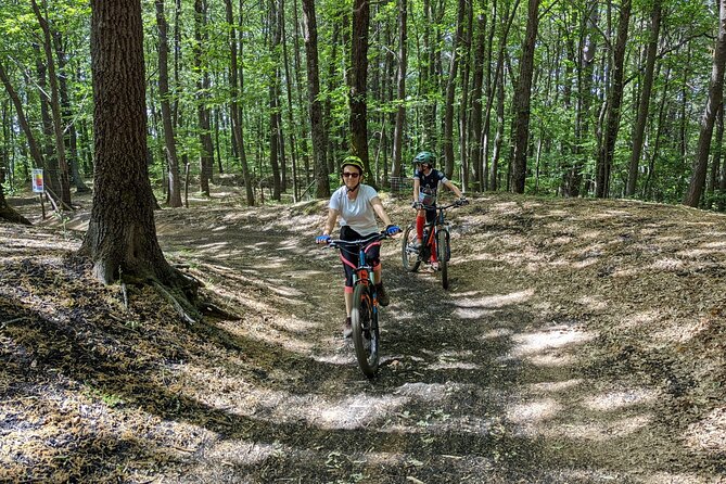 Mount Etna E-bike half-day tour - Riding through the Cerrita oak woods