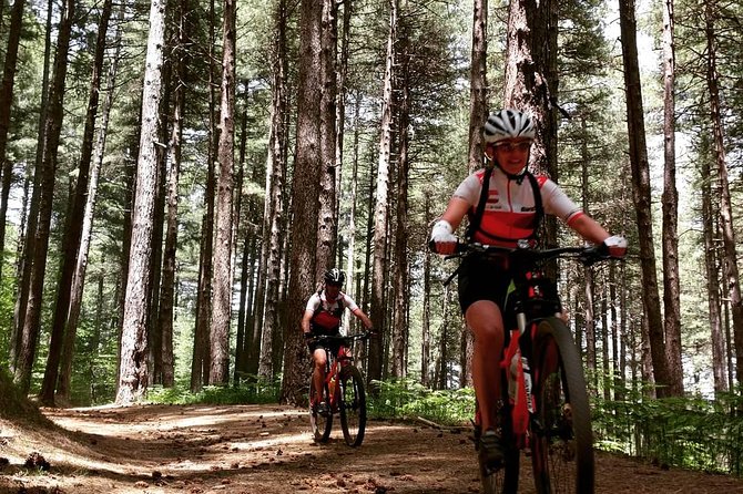 Mount Etna E-bike half-day tour - The climb to Rifugio Citelli