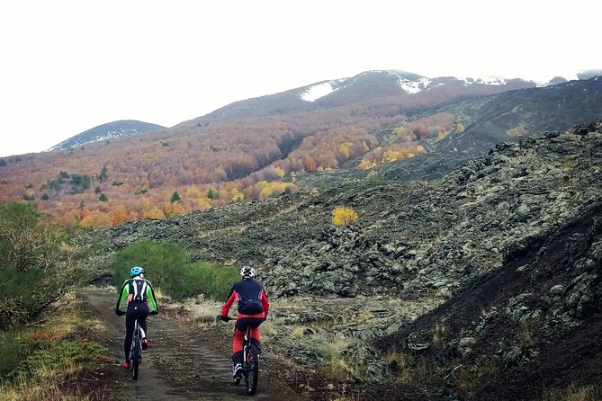 Mount Etna E-bike half-day tour - What the guide adds