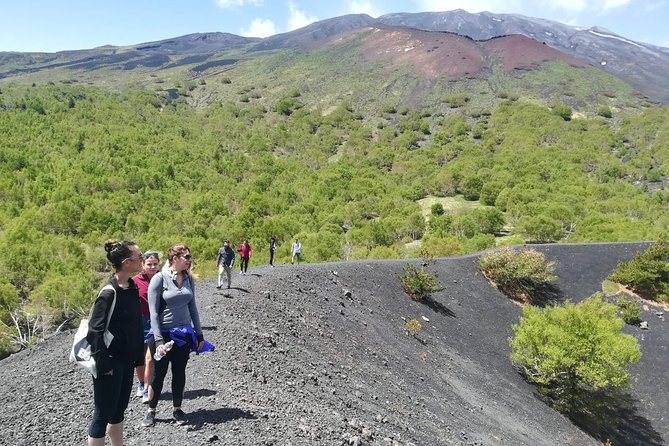 Mount Etna Half-Day Small Group Tour from Taormina - Why a half-day on Etna makes sense from Taormina