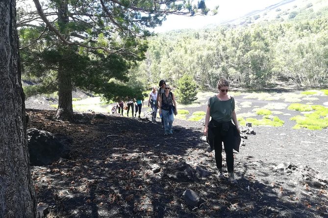 Mount Etna Half-Day Small Group Tour from Taormina - The chalet stop: Sicilian food and Etna wine