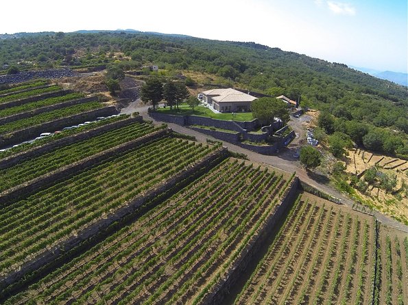 Mount Etna, Lunch in a Winery and Taormina Private Day-Trip from Messina - Private transport and the cruise-port advantage
