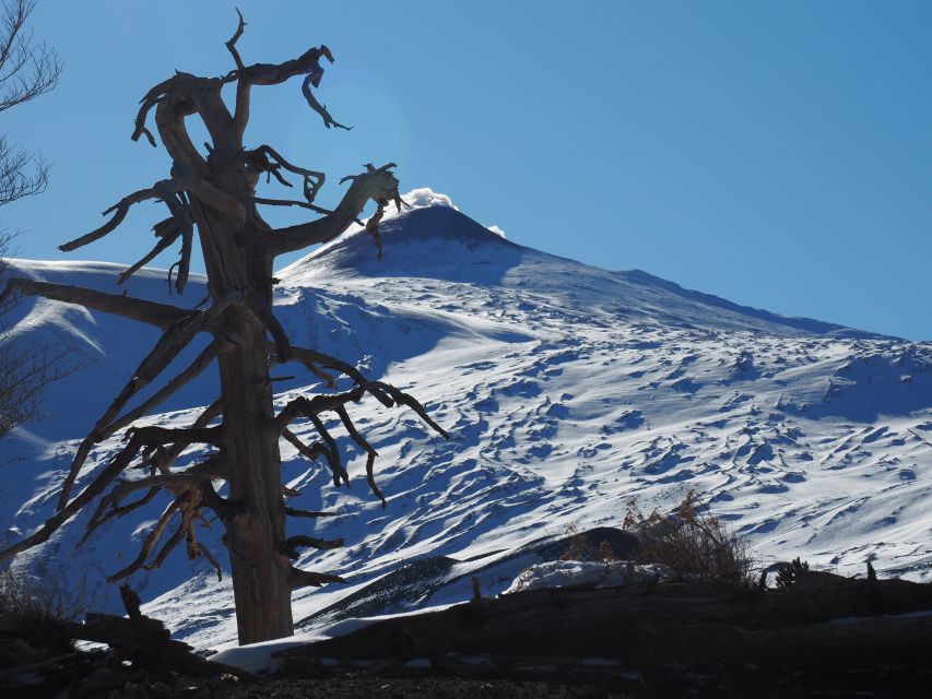 Mount Etna: Trek to the Craters of The 2002 Eruption - Key points to know before you book