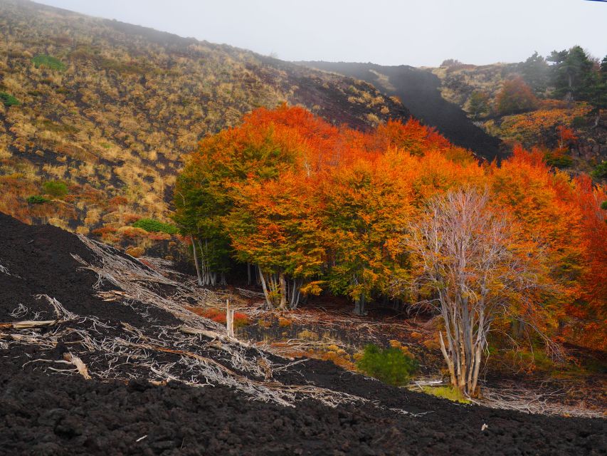 Mount Etna: Trek to the Craters of The 2002 Eruption - What to pack for the black lava trail
