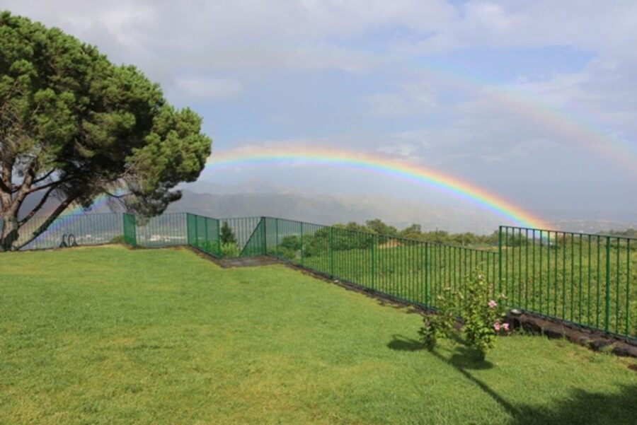 Mount Etna: Winery Tour and Tasting - Who will enjoy this Mount Etna tasting most?