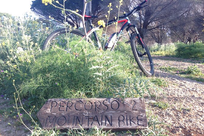 Mount Pellegrino MTB EXPERIENCE - Timing, weather, and practical limits