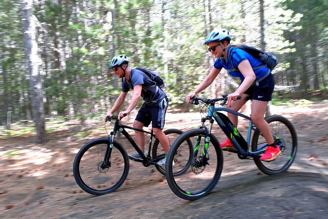 Mountain Biking Etna by MTB or E-Bike - The Giovanni Gualberto Forestry House stop