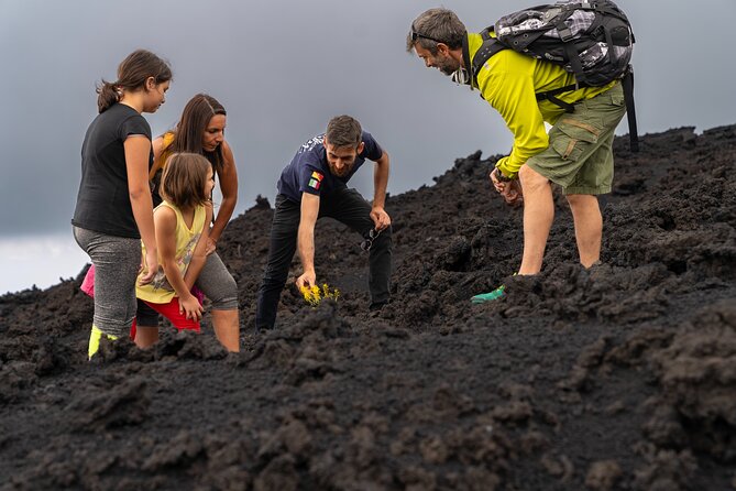 Mt Etna and Wine tasting tour from Catania - A strong Etna day from Catania