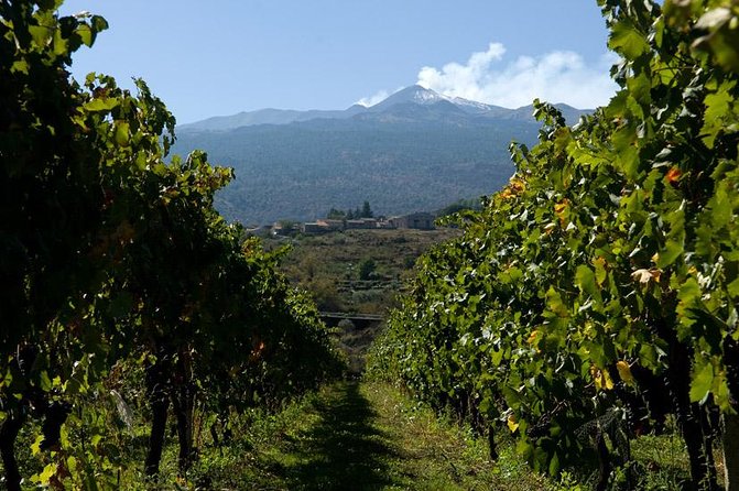Mt Etna and Wine tasting tour from Catania - The Silvestri craters and the optional higher route