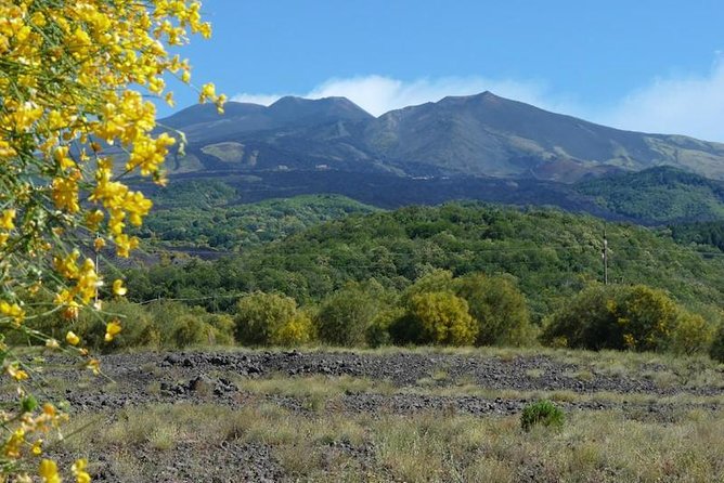 Mt. Etna nature and flavors half day Tour from Catania - Grotta dei Tre Livelli and the feel of a lava cave