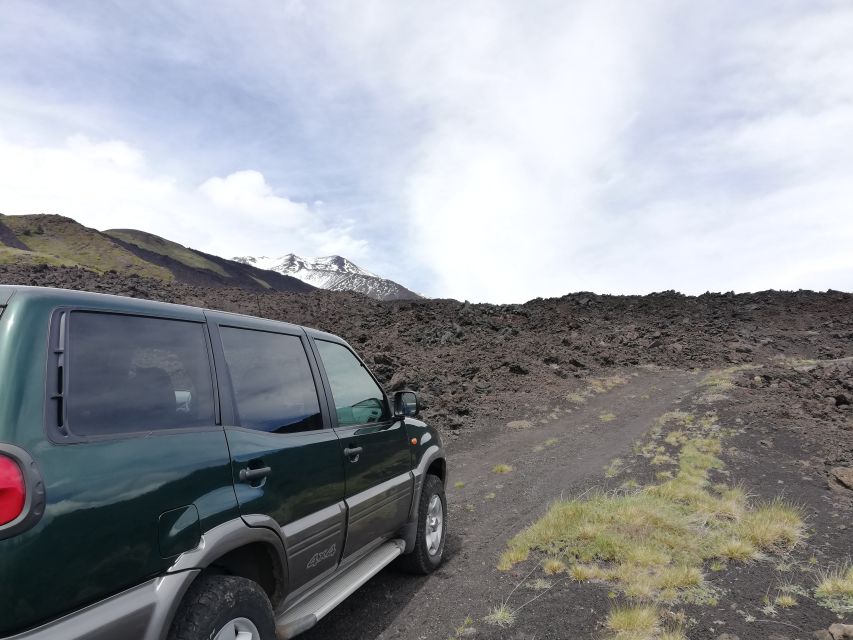 Mt. Etna: Private Tour in 4x4 from Taormina - The forest, old lava, and Etna Park