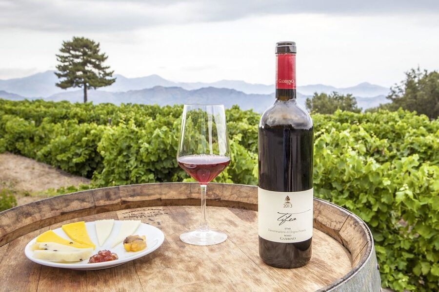 Mt. Etna Private Tour with Food and Wine Tasting - Key points at a glance
