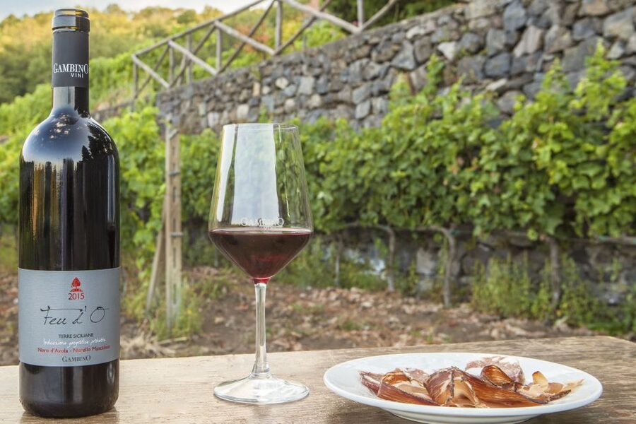 Mt. Etna Private Tour with Food and Wine Tasting - Practical booking details
