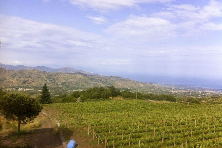 Mt. Etna Private Tour with Food and Wine Tasting - Leaving the coast for Zafferana Etnea