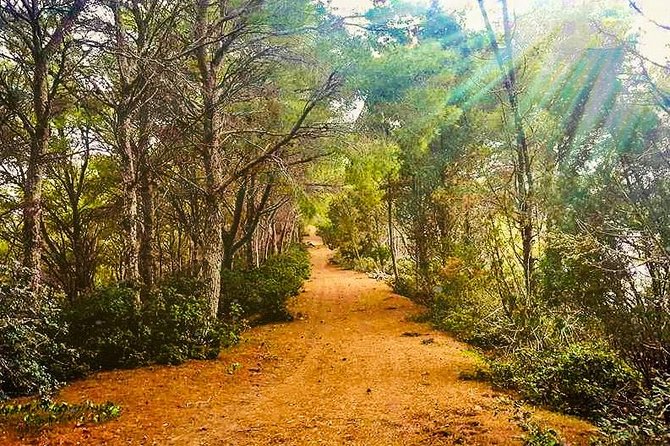 Naturalistic excursion to Ustica - Key points to know before booking