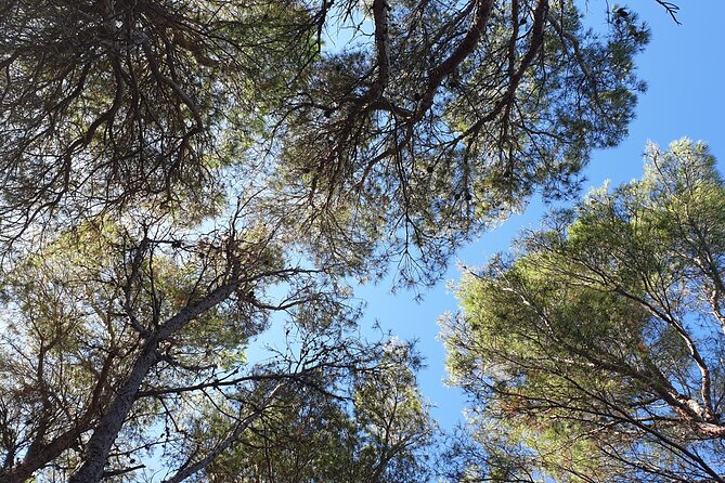 Naturalistic excursion to Ustica - What the $17.35 price includes
